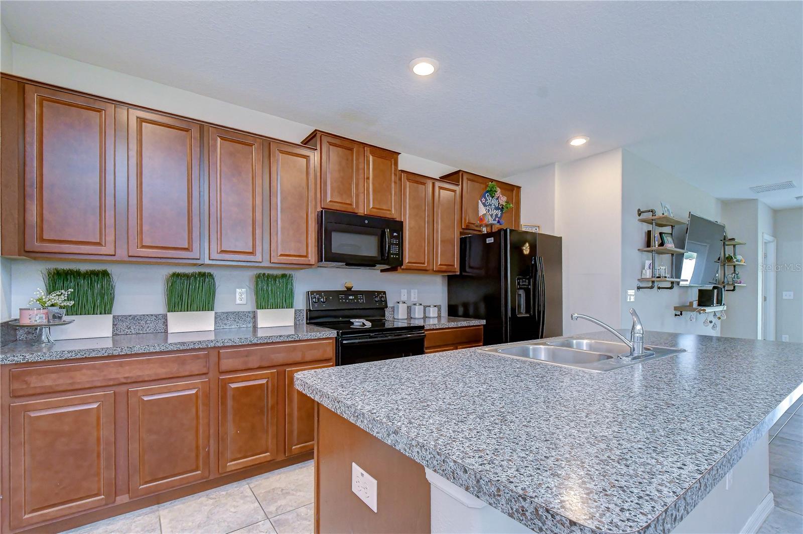4321 GLOBE THISTLE DR, TAMPA, FL, 33619