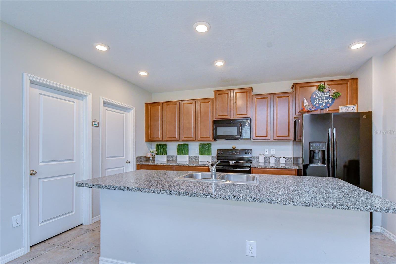 4321 GLOBE THISTLE DR, TAMPA, FL, 33619