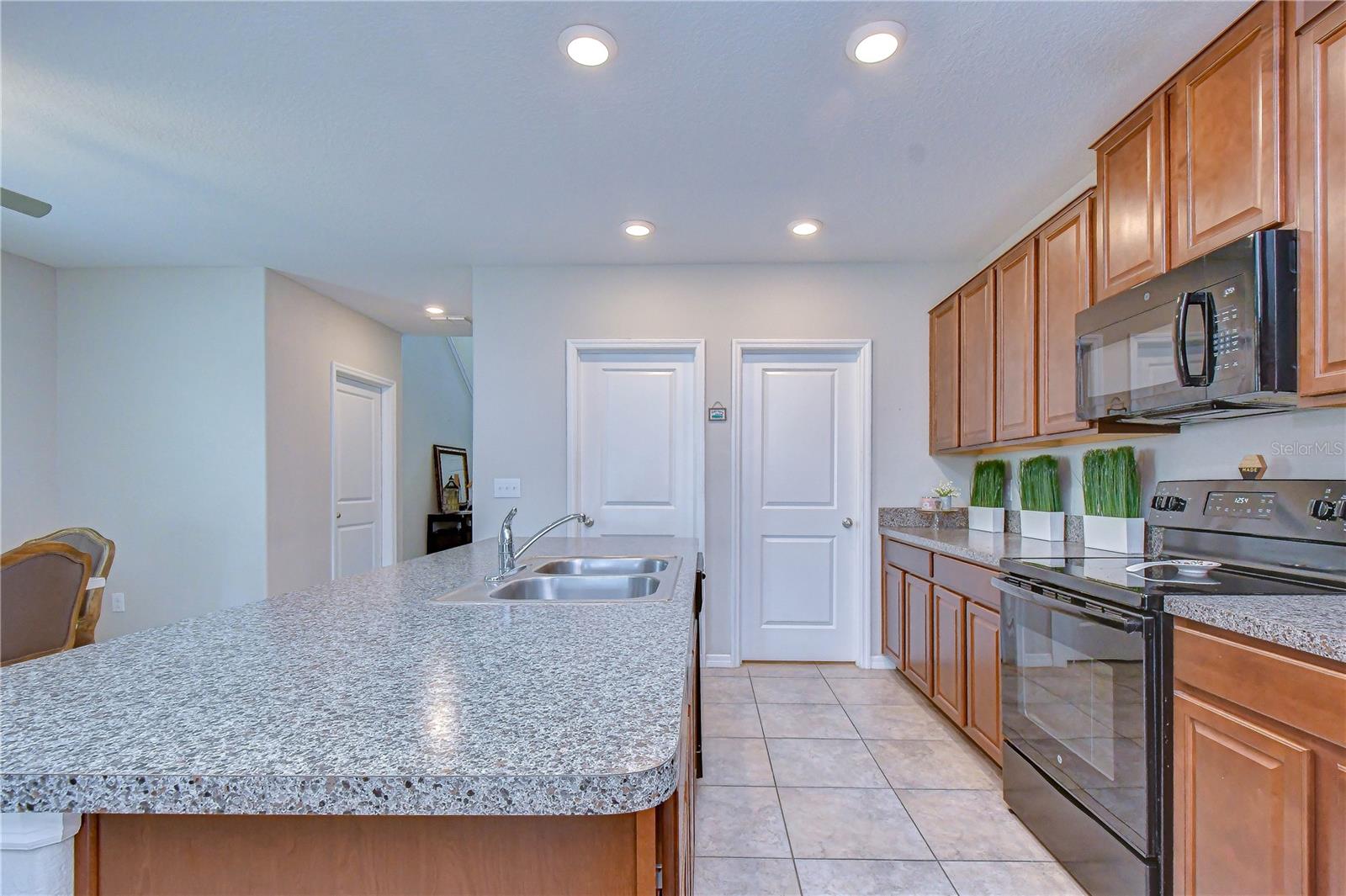 4321 GLOBE THISTLE DR, TAMPA, FL, 33619