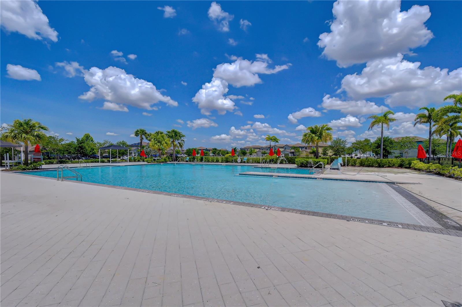 4321 GLOBE THISTLE DR, TAMPA, FL, 33619