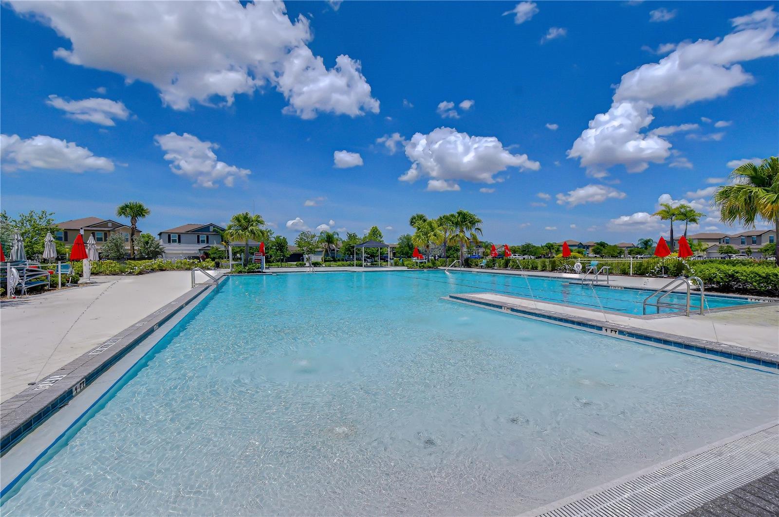 4321 GLOBE THISTLE DR, TAMPA, FL, 33619