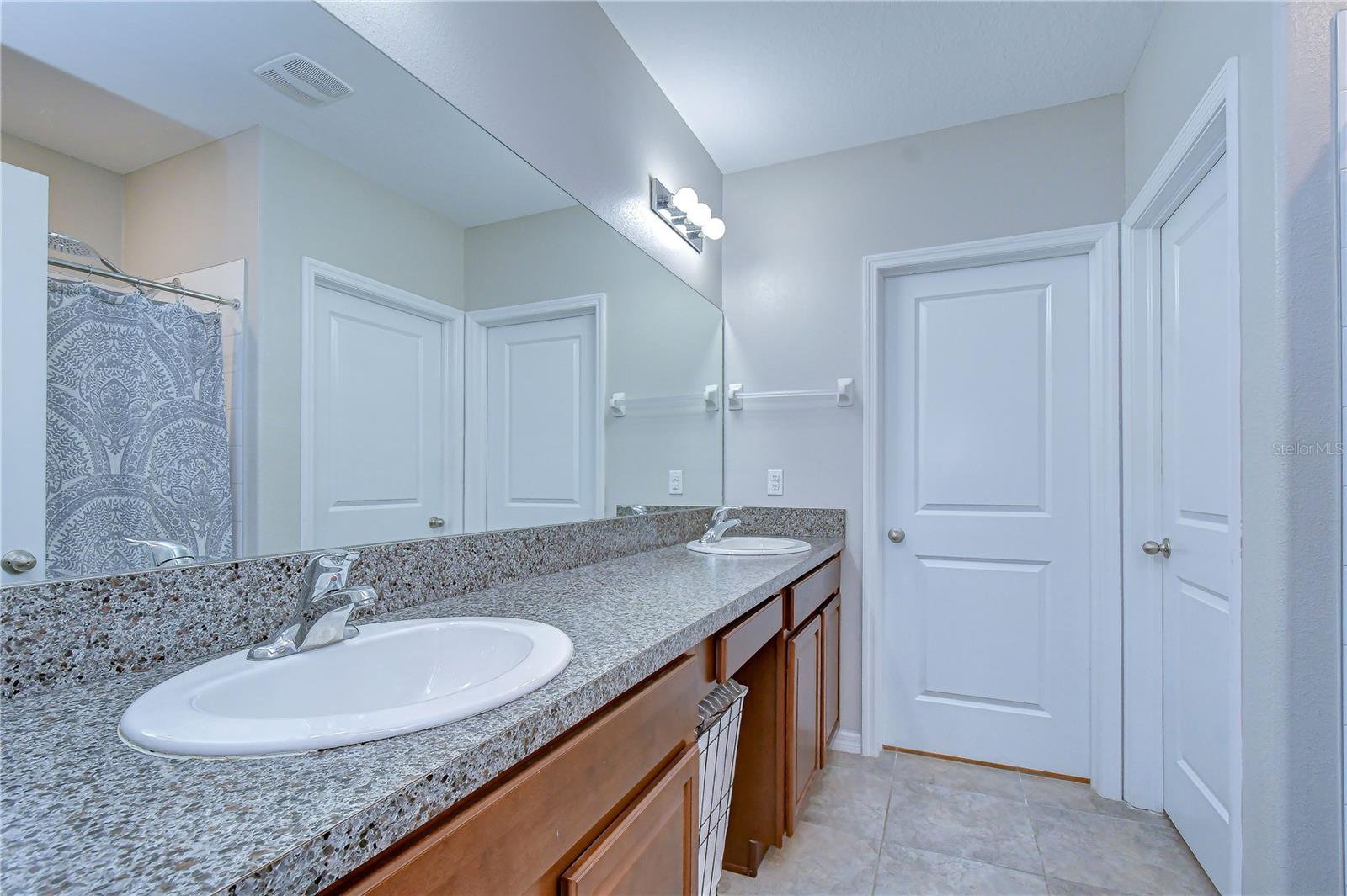 4321 GLOBE THISTLE DR, TAMPA, FL, 33619