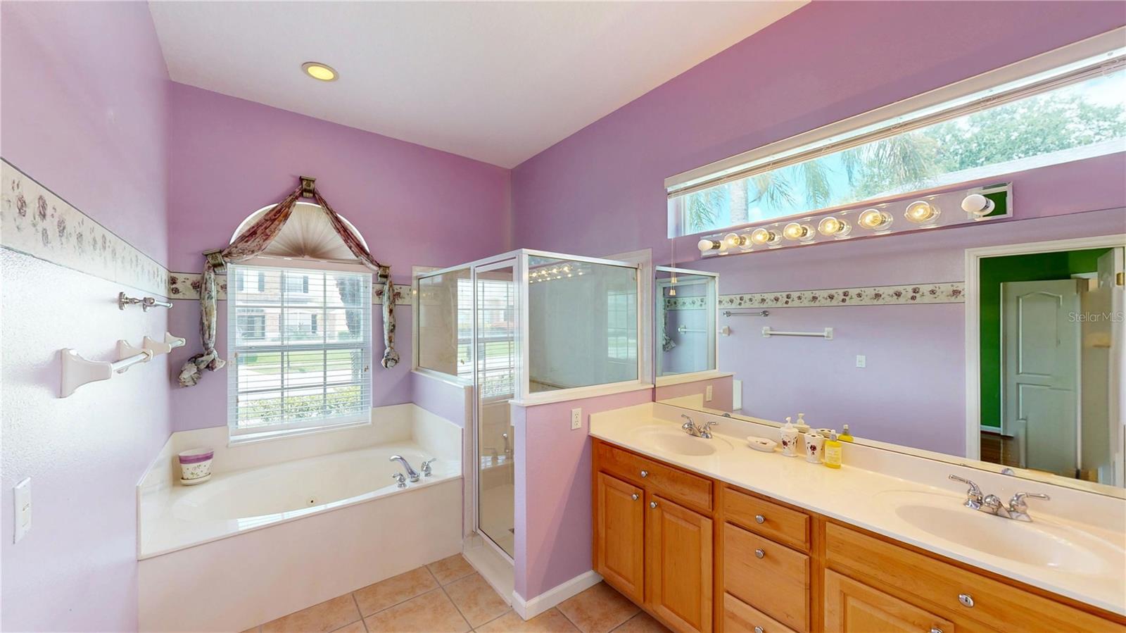 529 BELHAVEN FALLS DR, OCOEE, FL, 34761