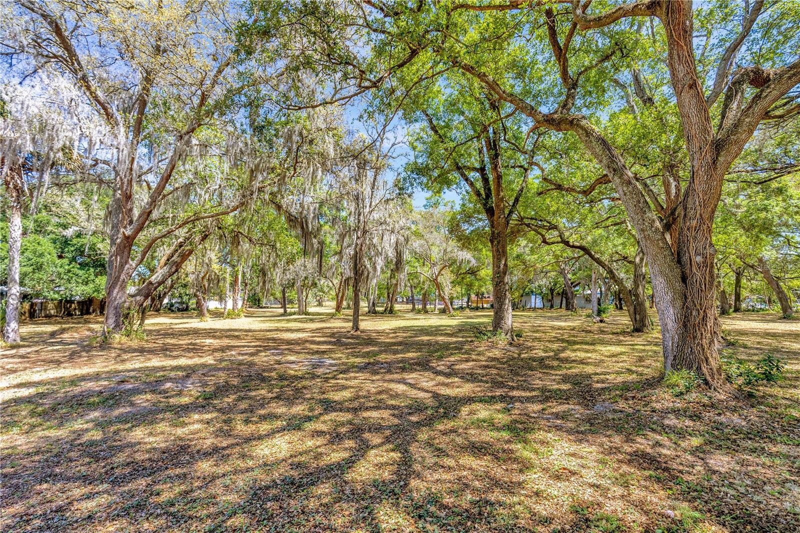 5501 N 37TH ST, TAMPA, FL, 33610