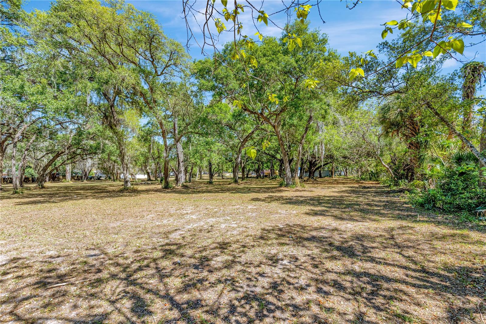 5501 N 37TH ST, TAMPA, FL, 33610