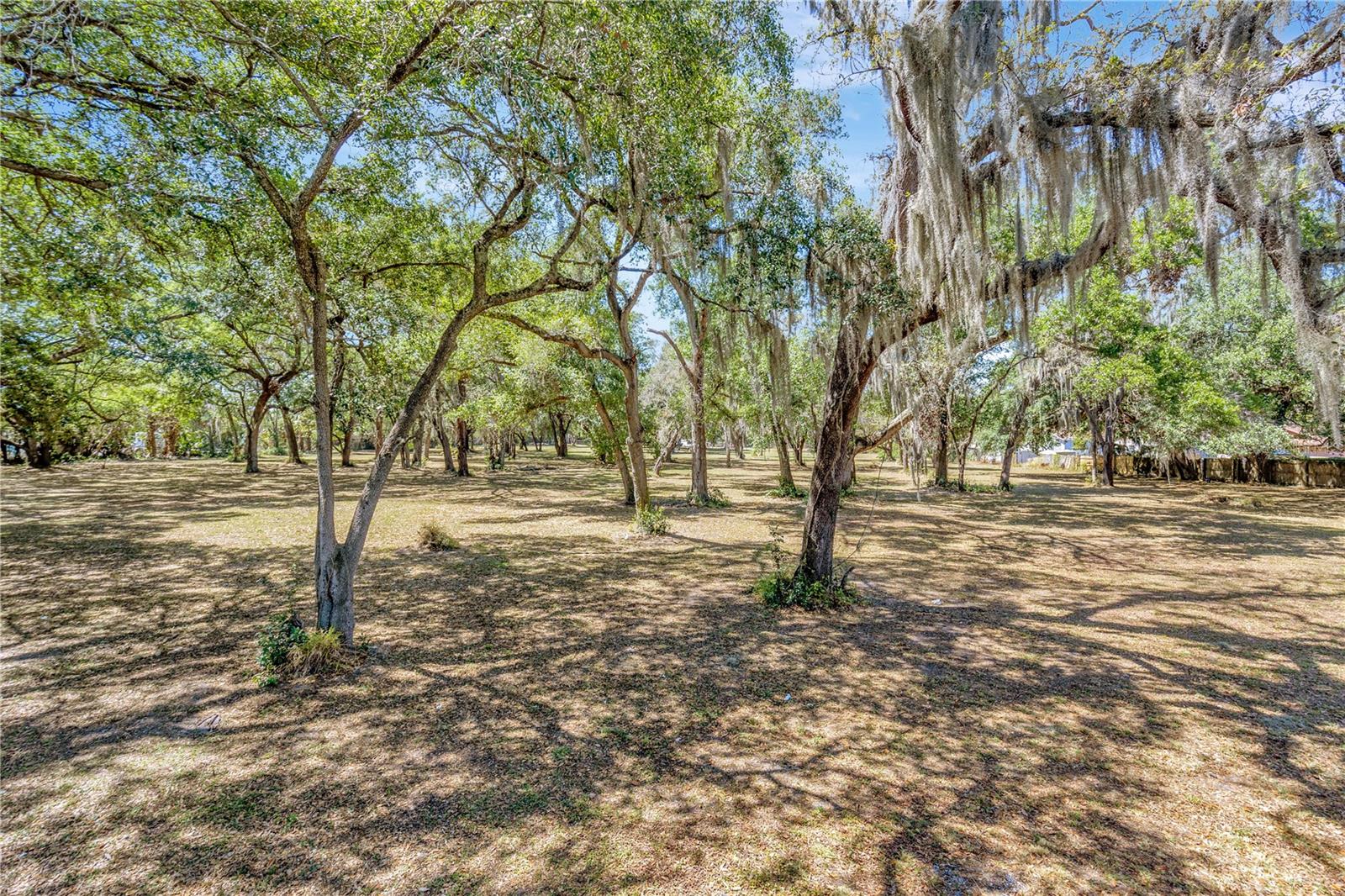 5501 N 37TH ST, TAMPA, FL, 33610