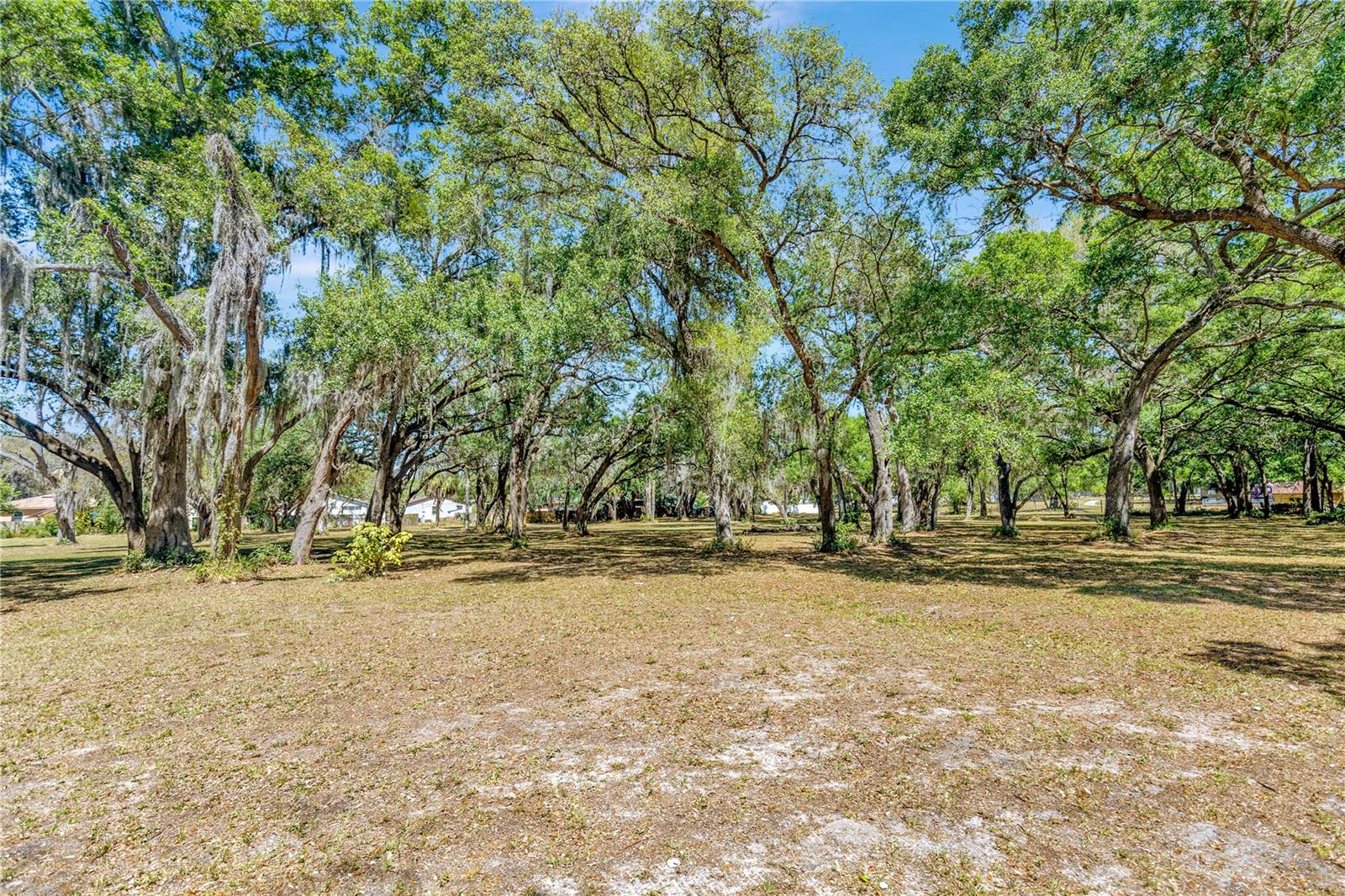 5501 N 37TH ST, TAMPA, FL, 33610