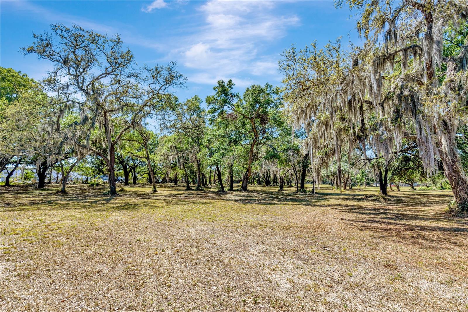 5501 N 37TH ST, TAMPA, FL, 33610