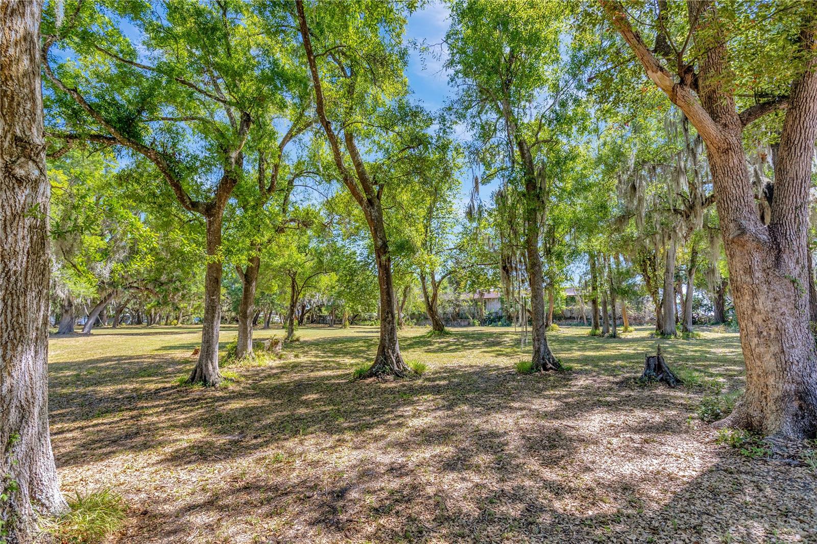 5501 N 37TH ST, TAMPA, FL, 33610