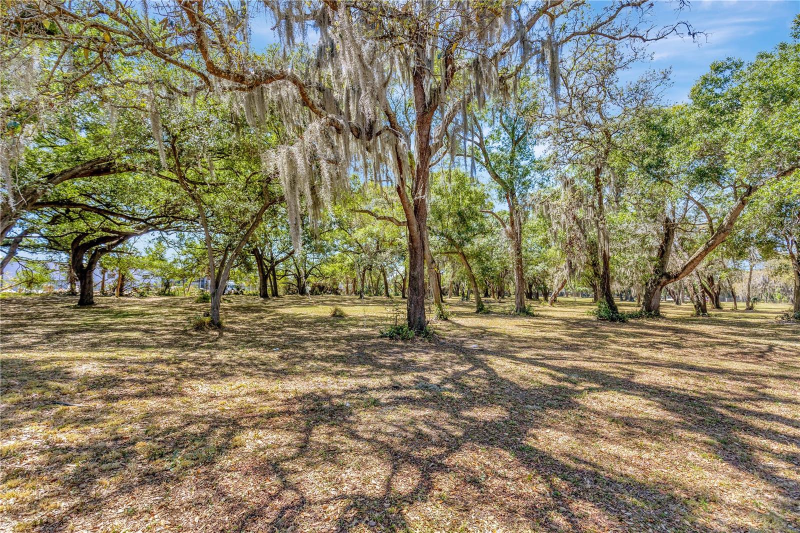 5501 N 37TH ST, TAMPA, FL, 33610