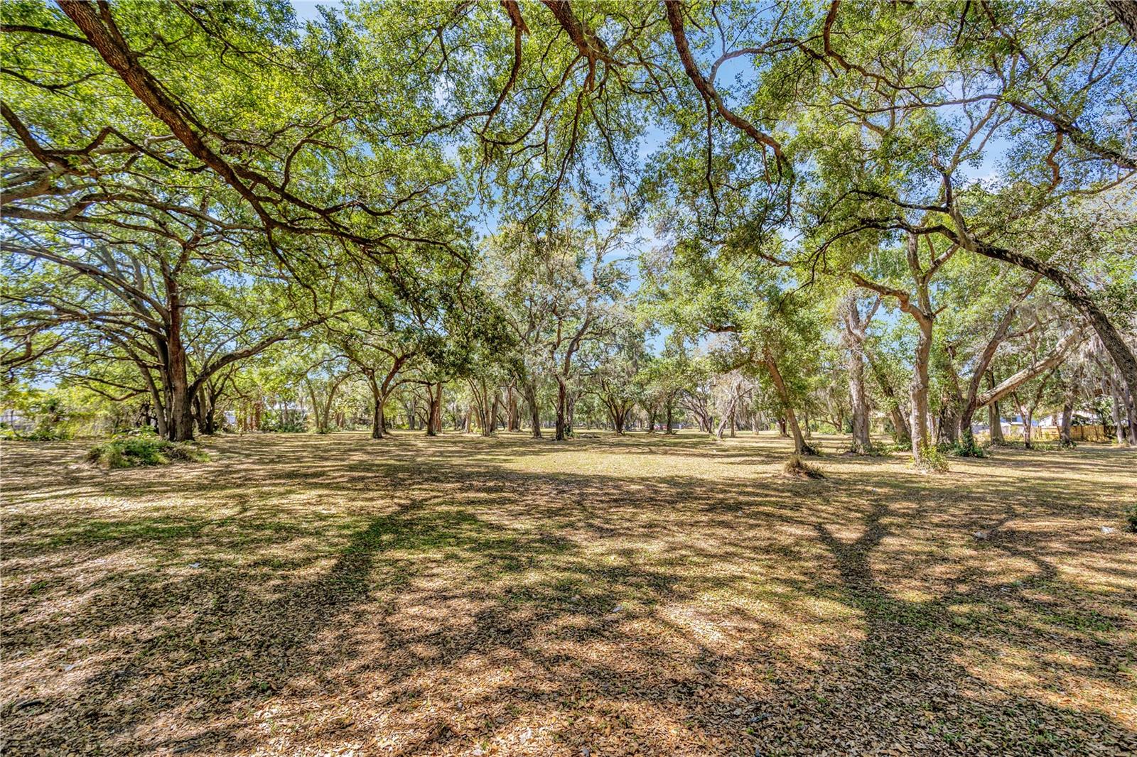 5501 N 37TH ST, TAMPA, FL, 33610