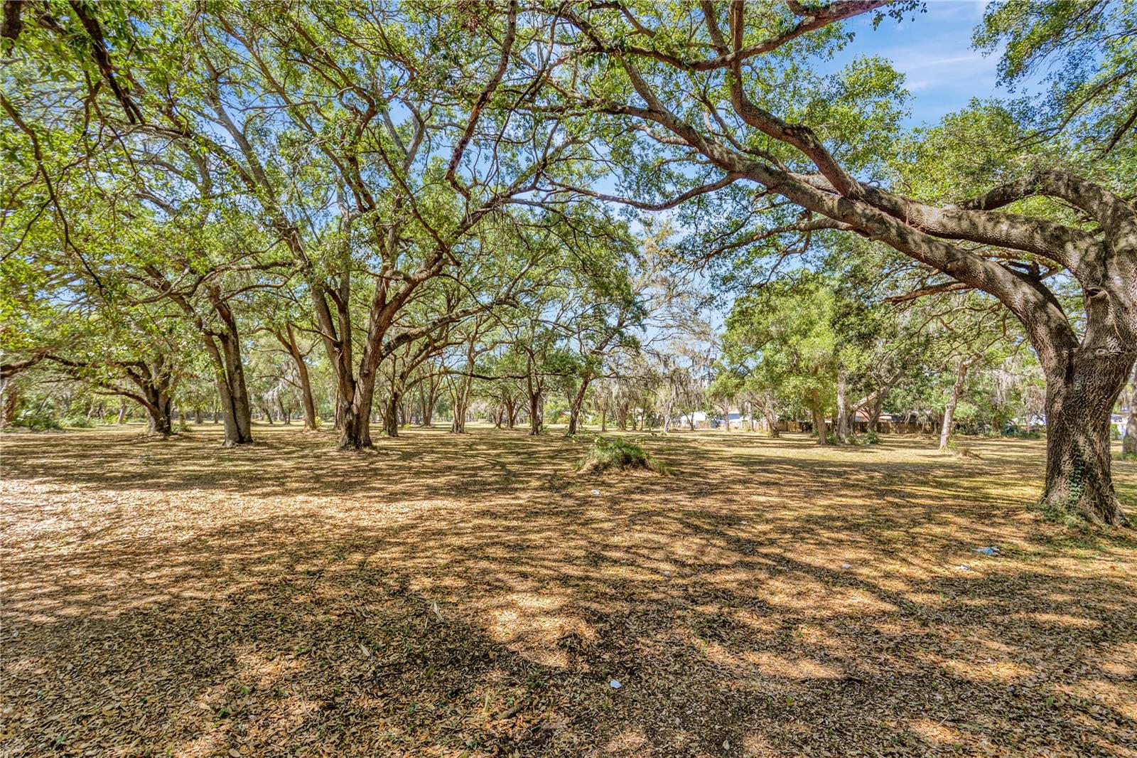 5501 N 37TH ST, TAMPA, FL, 33610