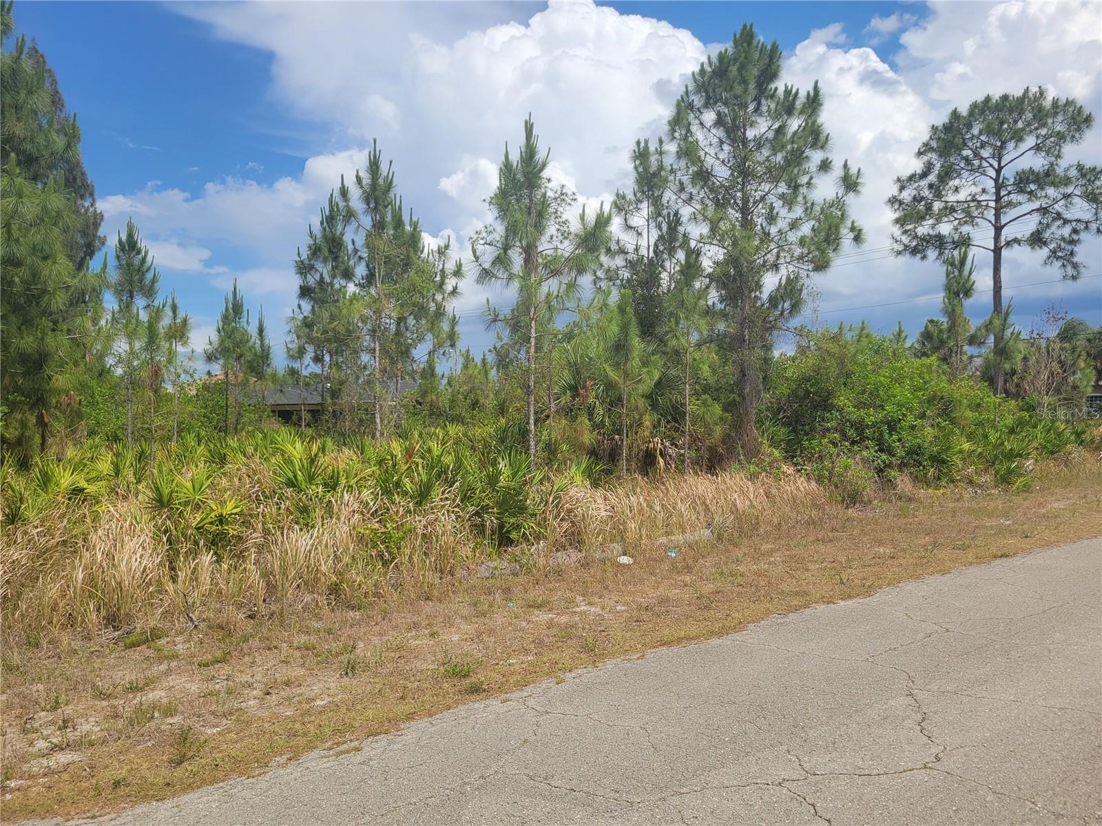2601 E 10TH ST, LEHIGH ACRES, FL, 33936