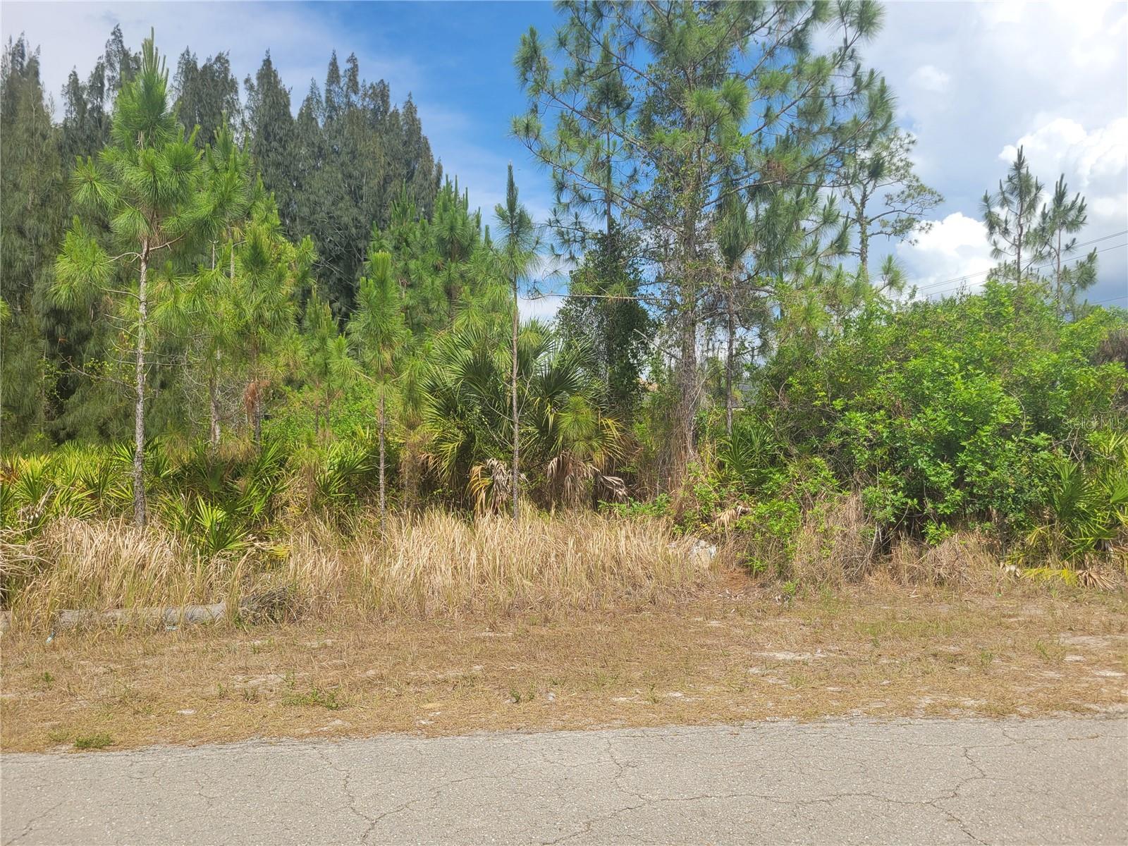 2601 E 10TH ST, LEHIGH ACRES, FL, 33936