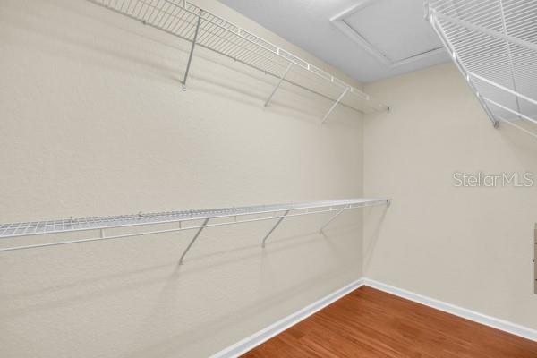 6924 HOCHAD DR, ORLANDO, FL, 32819