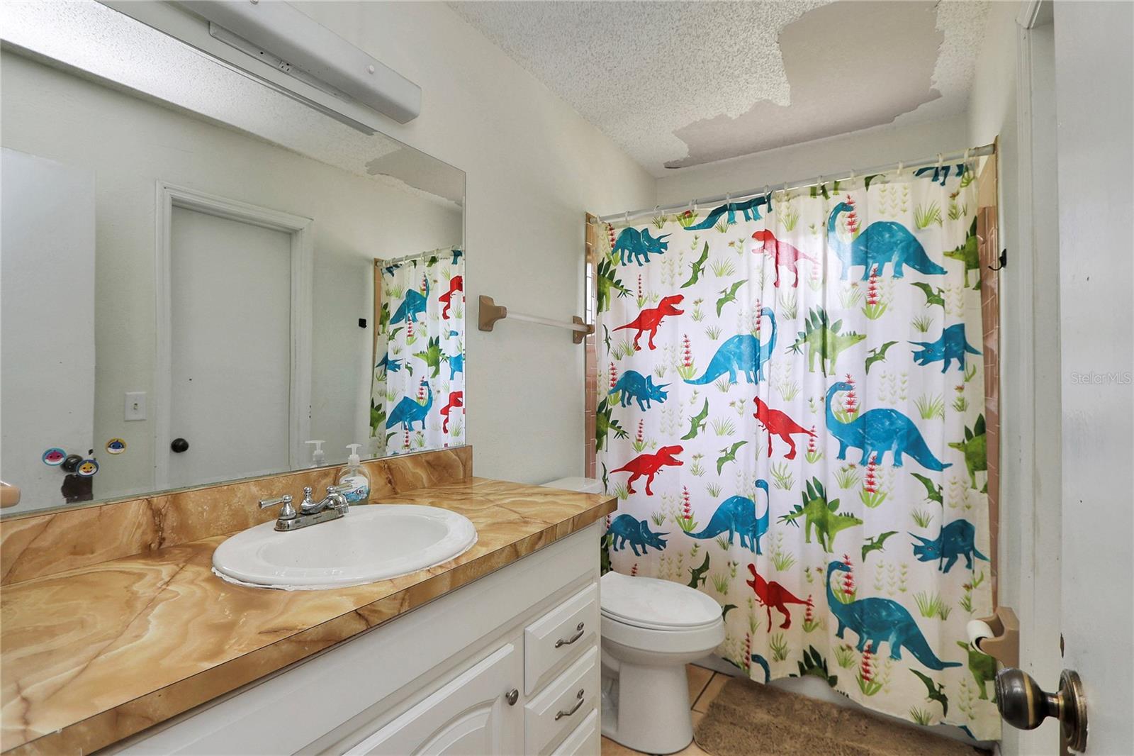 6042 NW 54TH TER, OCALA, FL, 34482