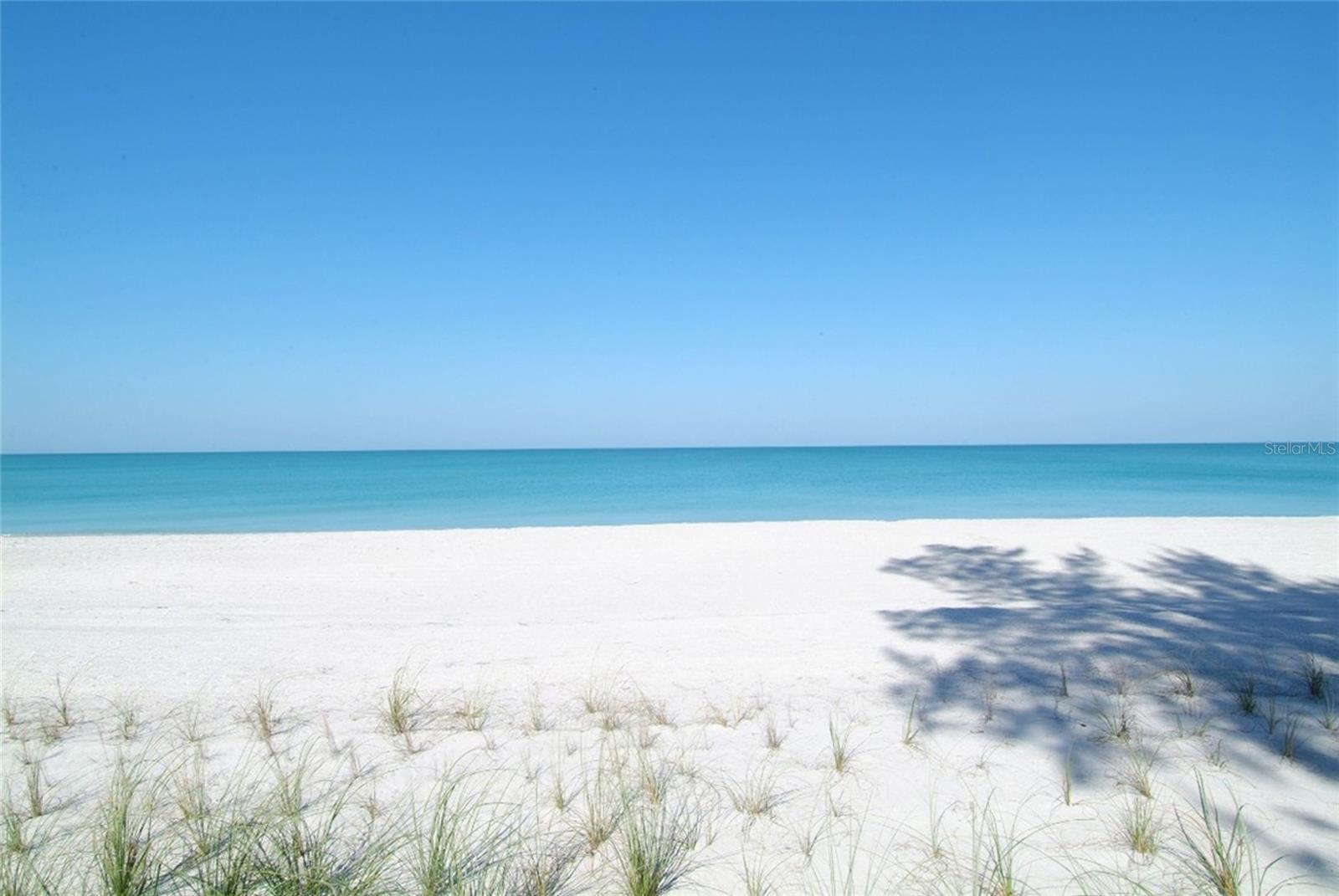 411 BURNS COURT, SARASOTA, FL, 34236