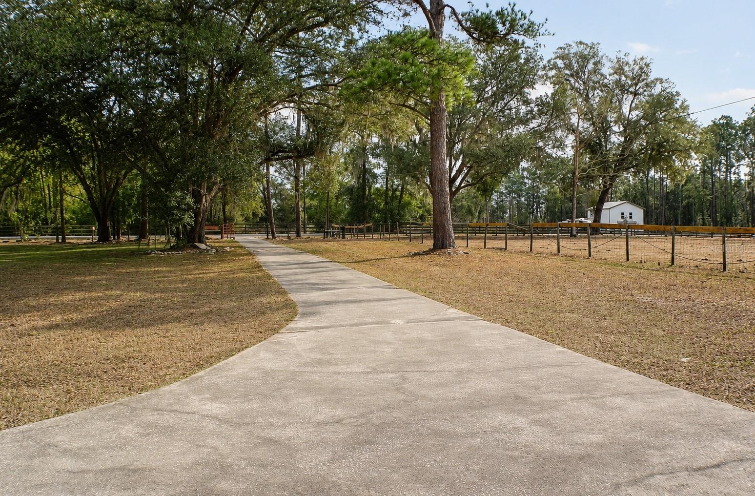 13124 NW 160TH AVE, MORRISTON, FL, 32668