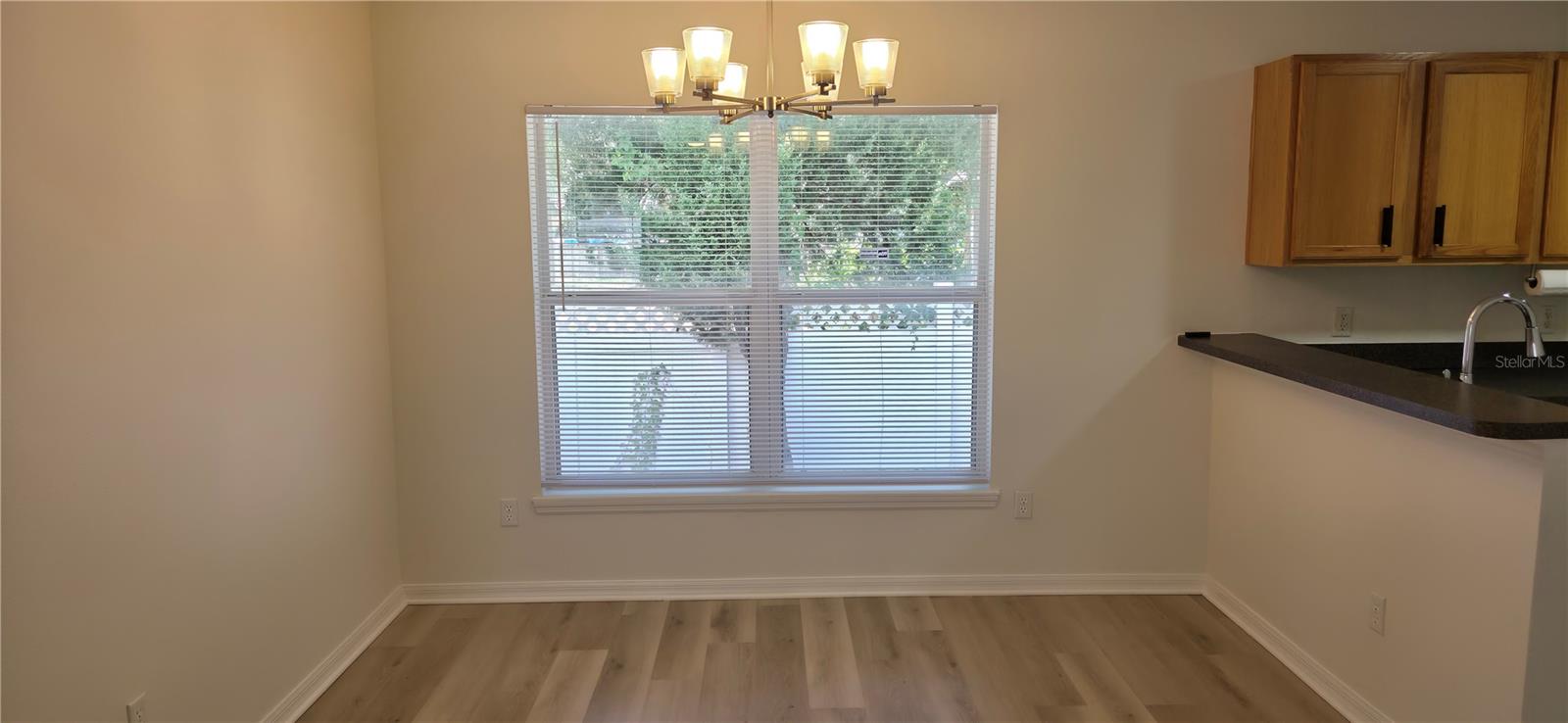 298 HAMMOCK CT, DAVENPORT, FL, 33896