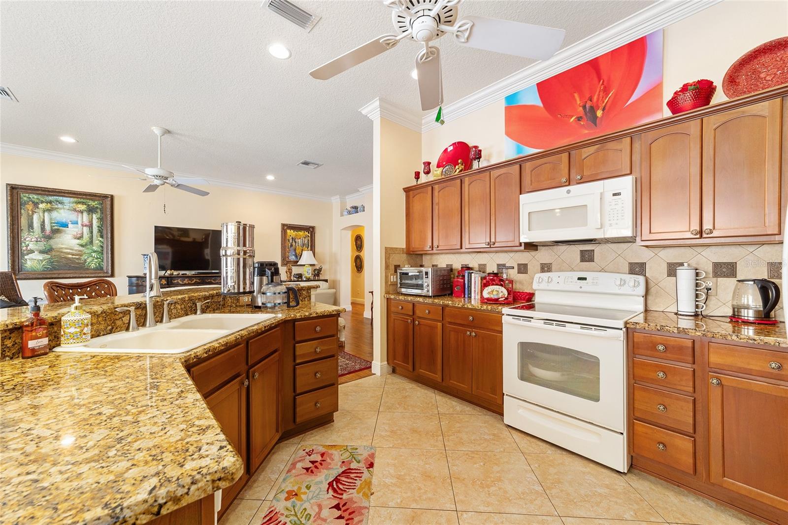 418 FLOSSMOOR CT, THE VILLAGES, FL, 32162
