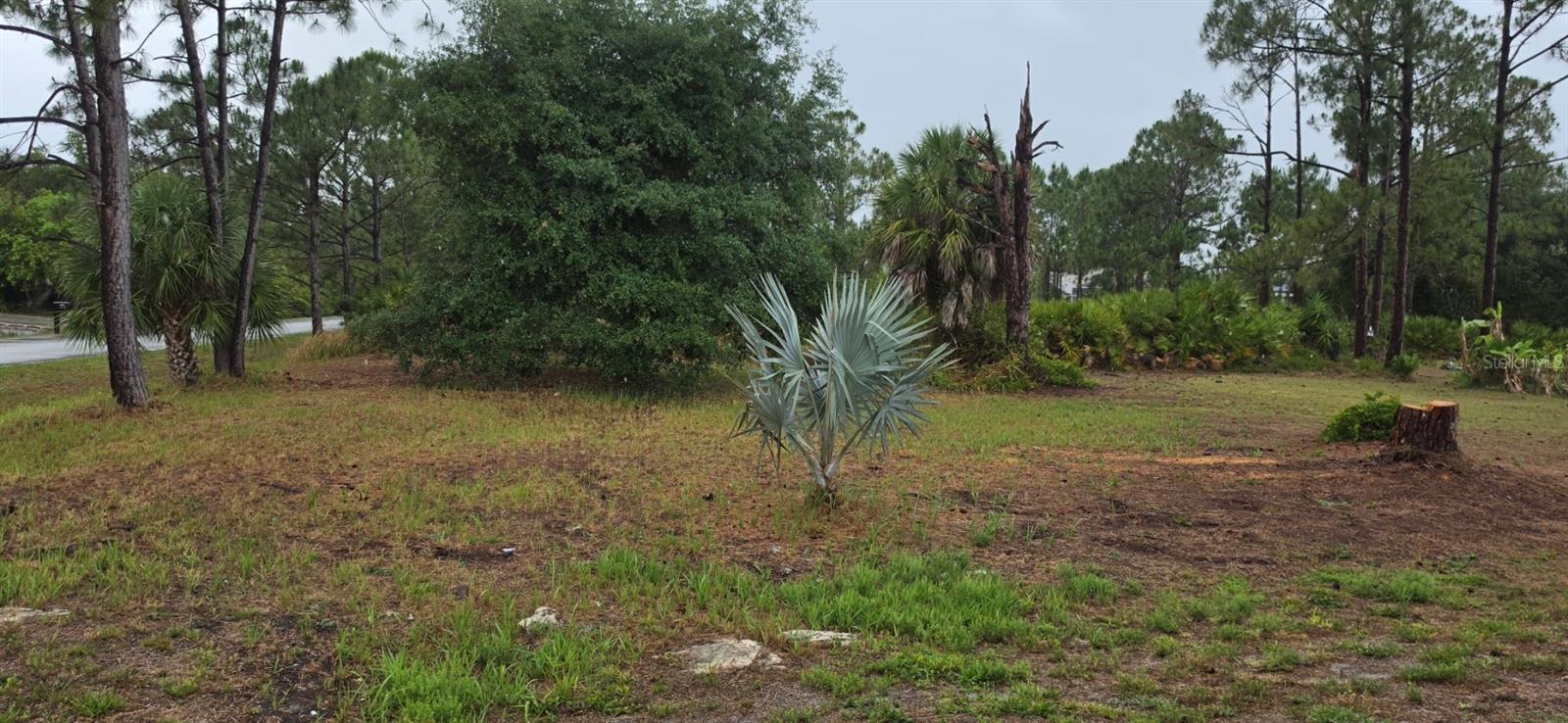 PERENNIAL RD, NORTH PORT, FL, 34291