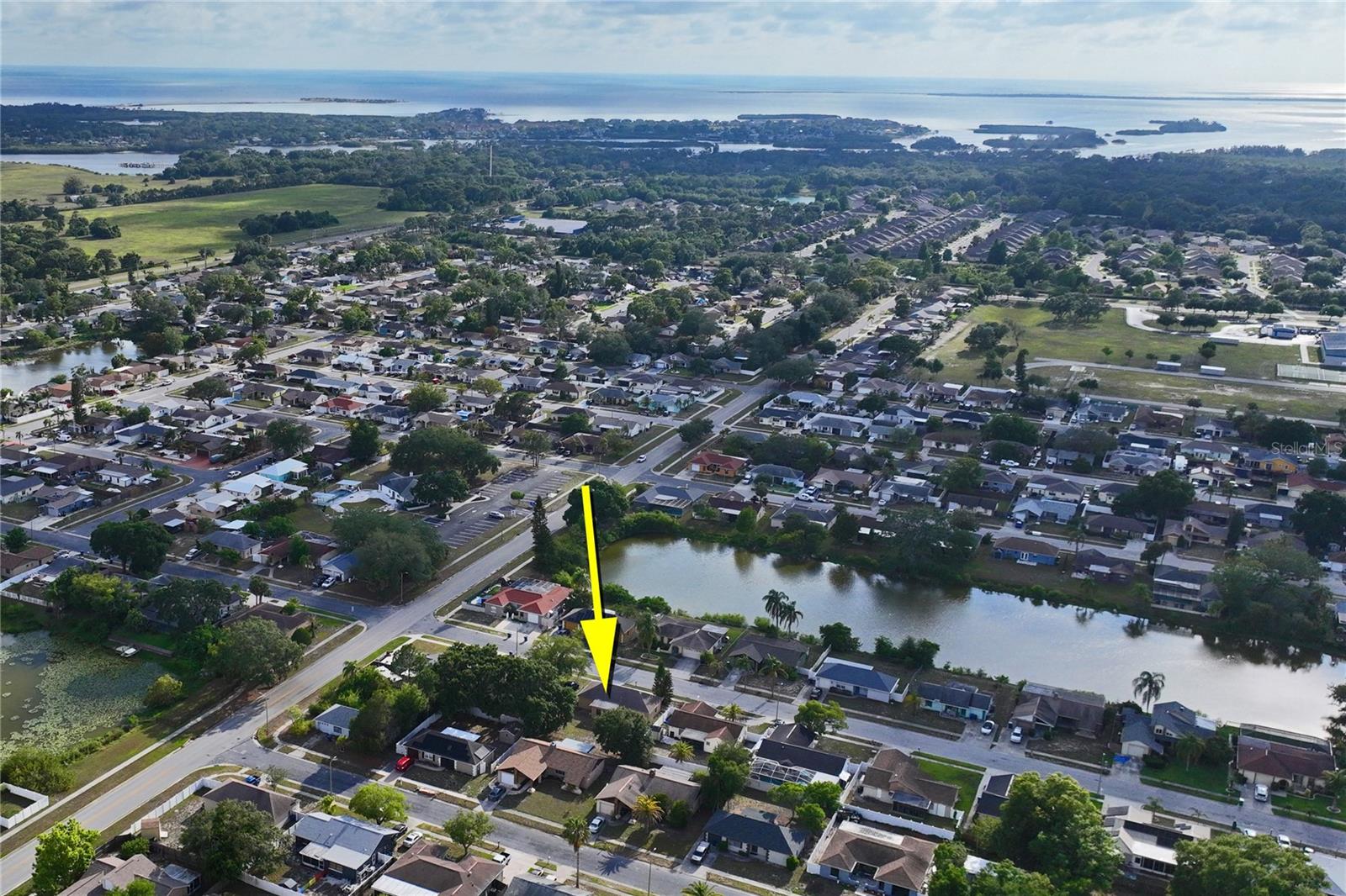 1238 FUCHSIA DR, HOLIDAY, FL, 34691