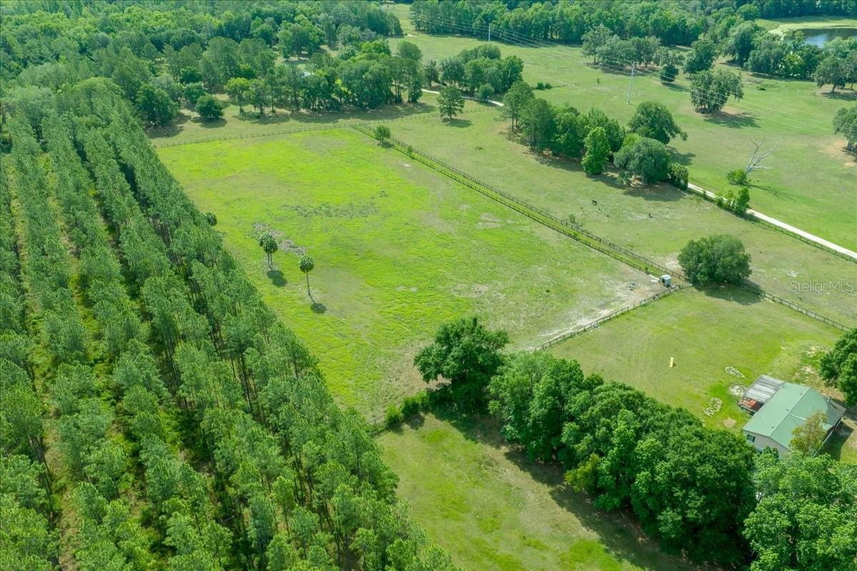 18585 N HIGHWAY 329, REDDICK, FL, 32686
