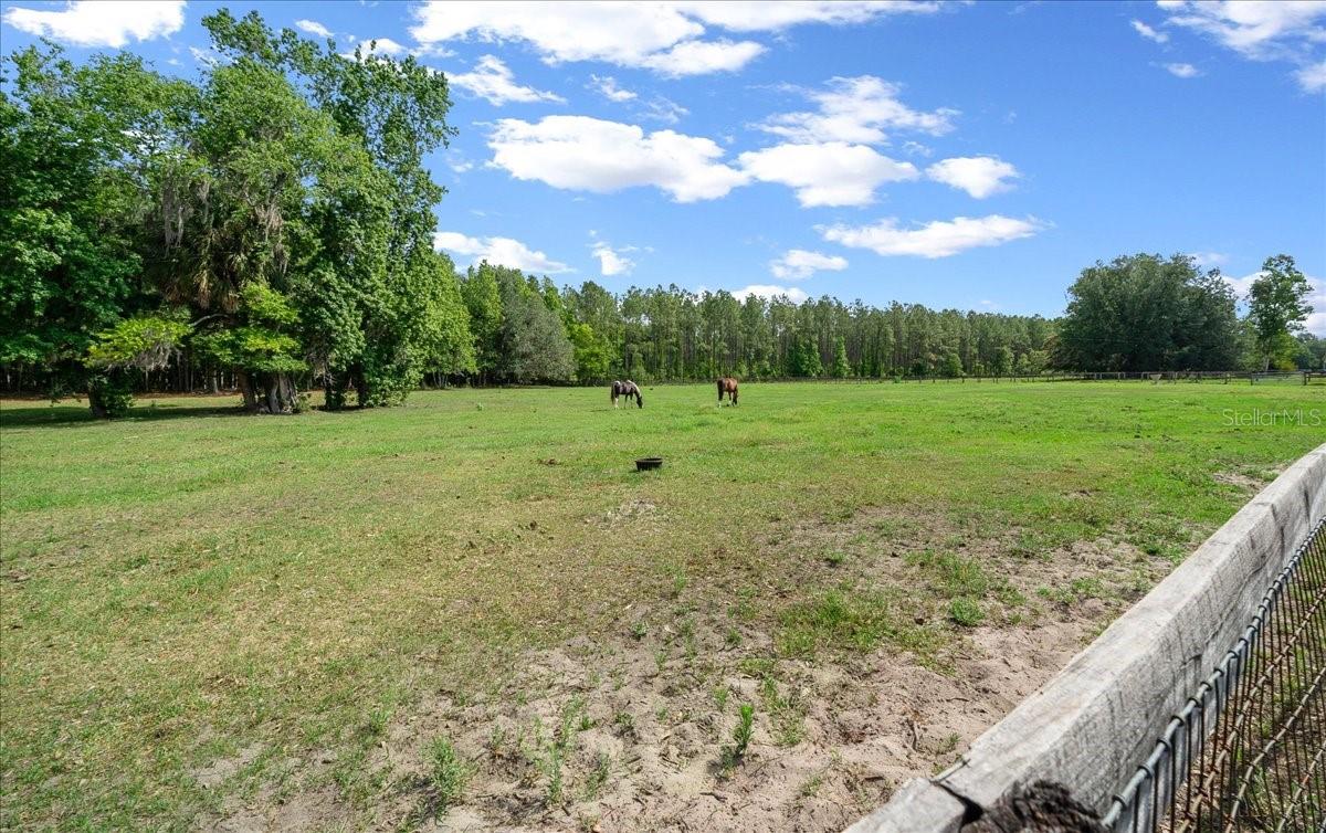 18585 N HIGHWAY 329, REDDICK, FL, 32686