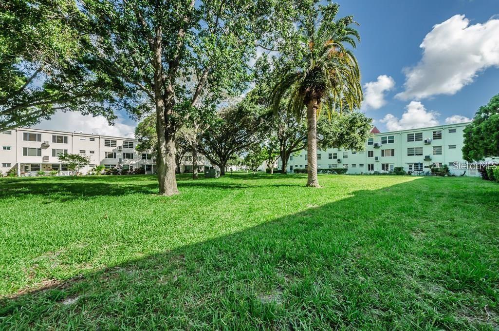 2359 FINLANDIA LN #59, CLEARWATER, FL, 33763