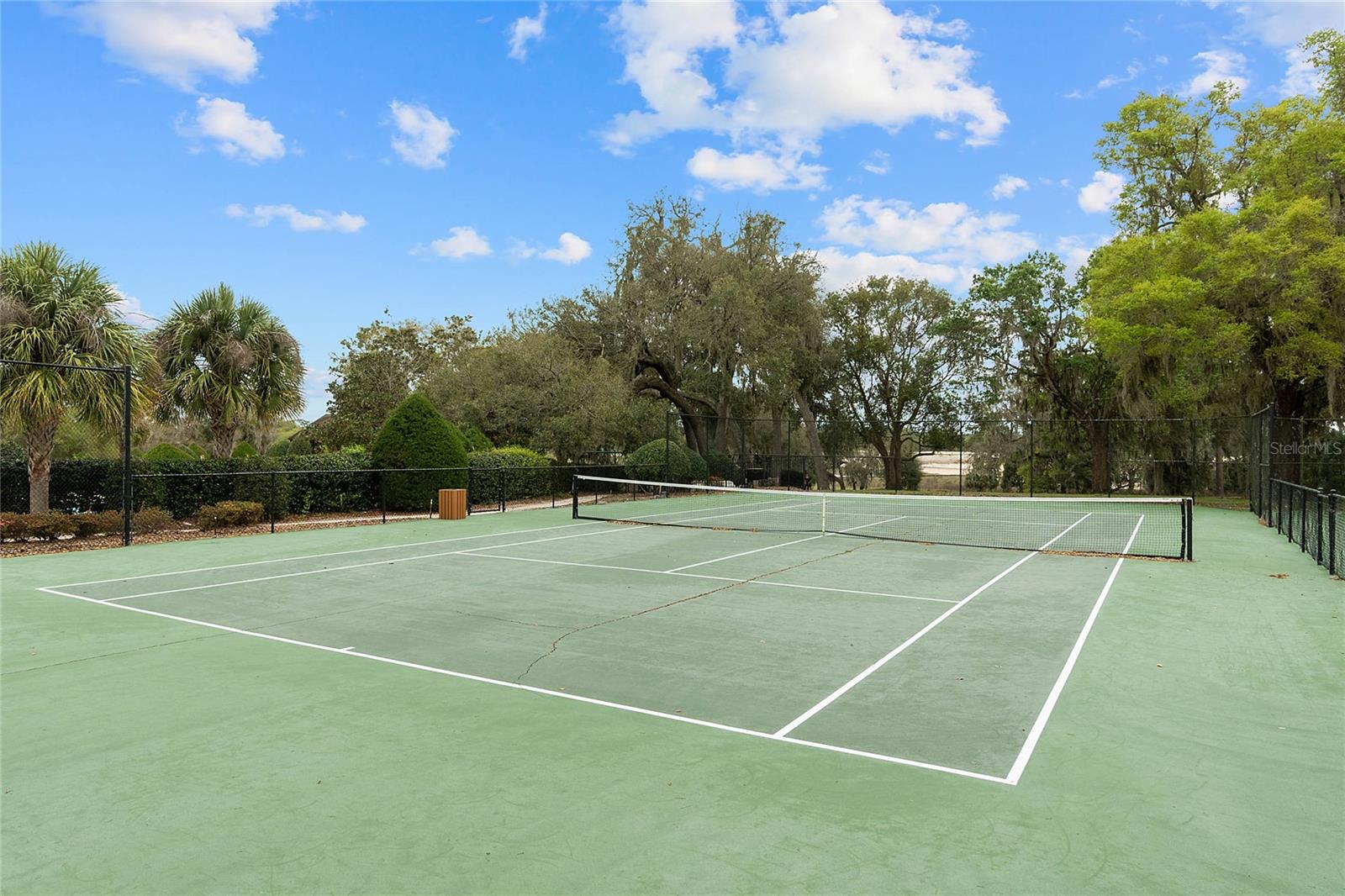 23503 VALDERAMA LN, SORRENTO, FL, 32776