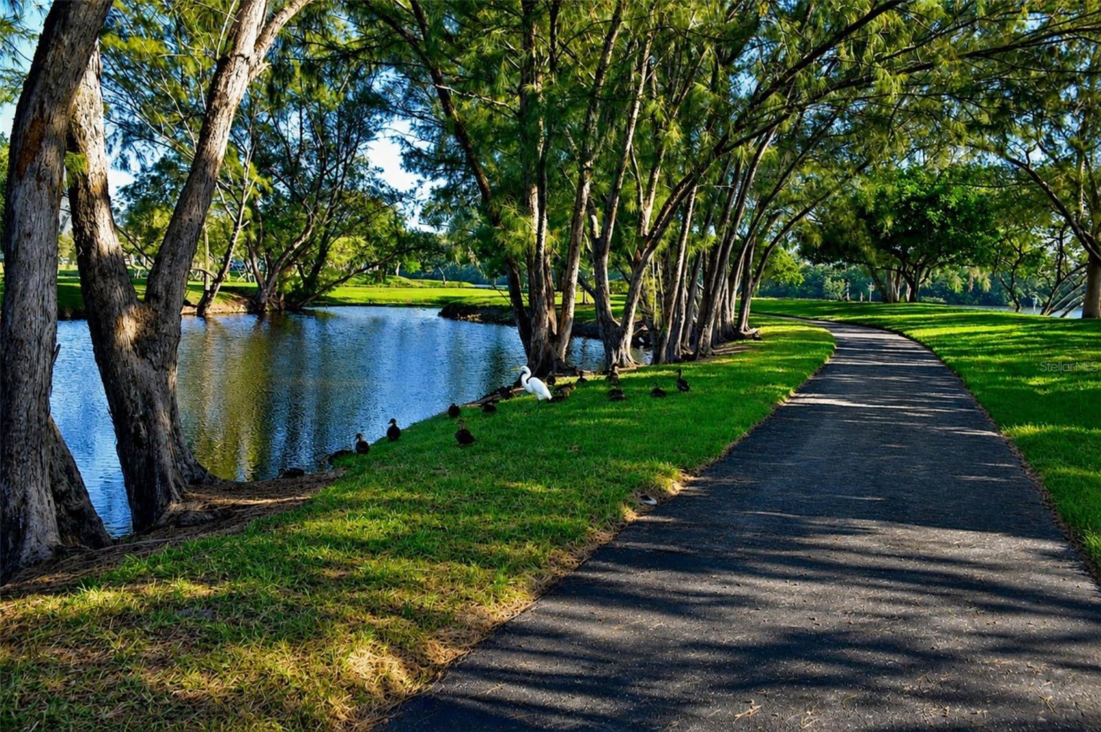 4809 INDEPENDENCE DR, BRADENTON, FL, 34210