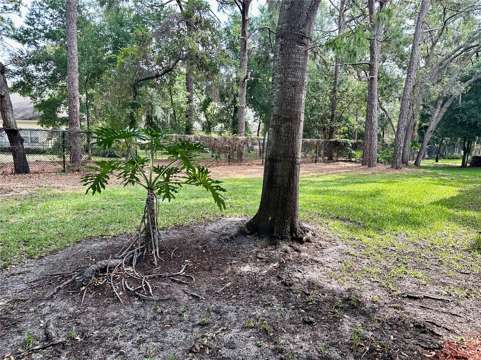 2141 PORTOFINO PL #28-282, PALM HARBOR, FL, 34683