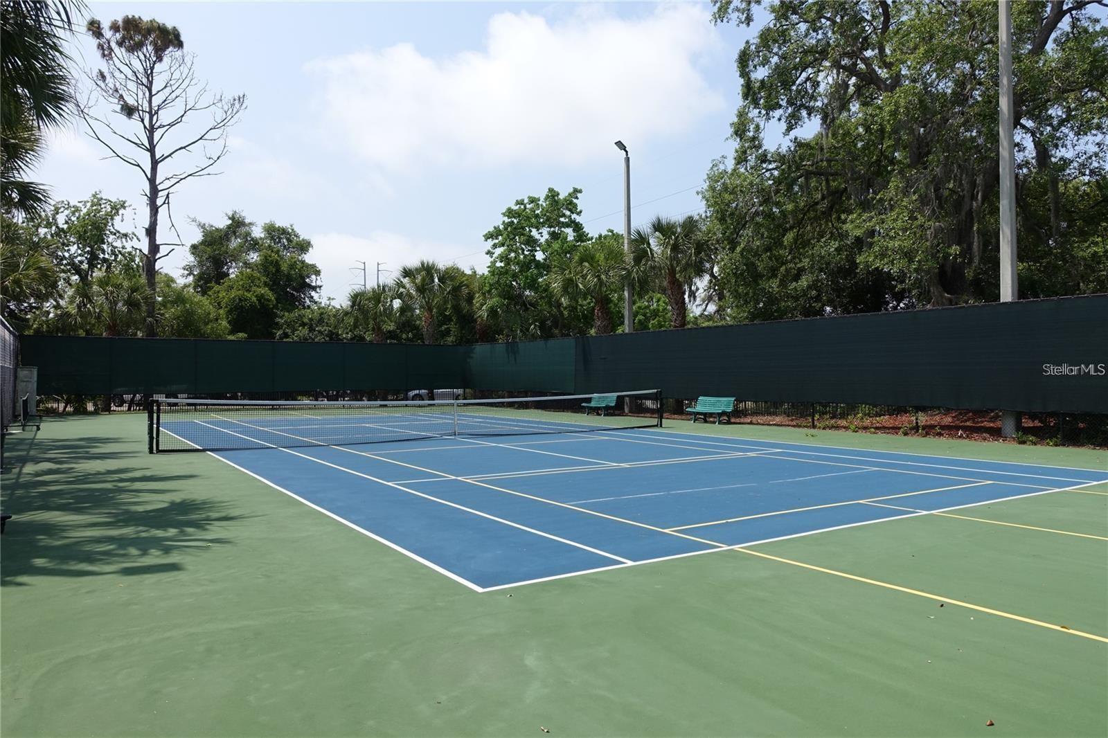 2141 PORTOFINO PL #28-282, PALM HARBOR, FL, 34683