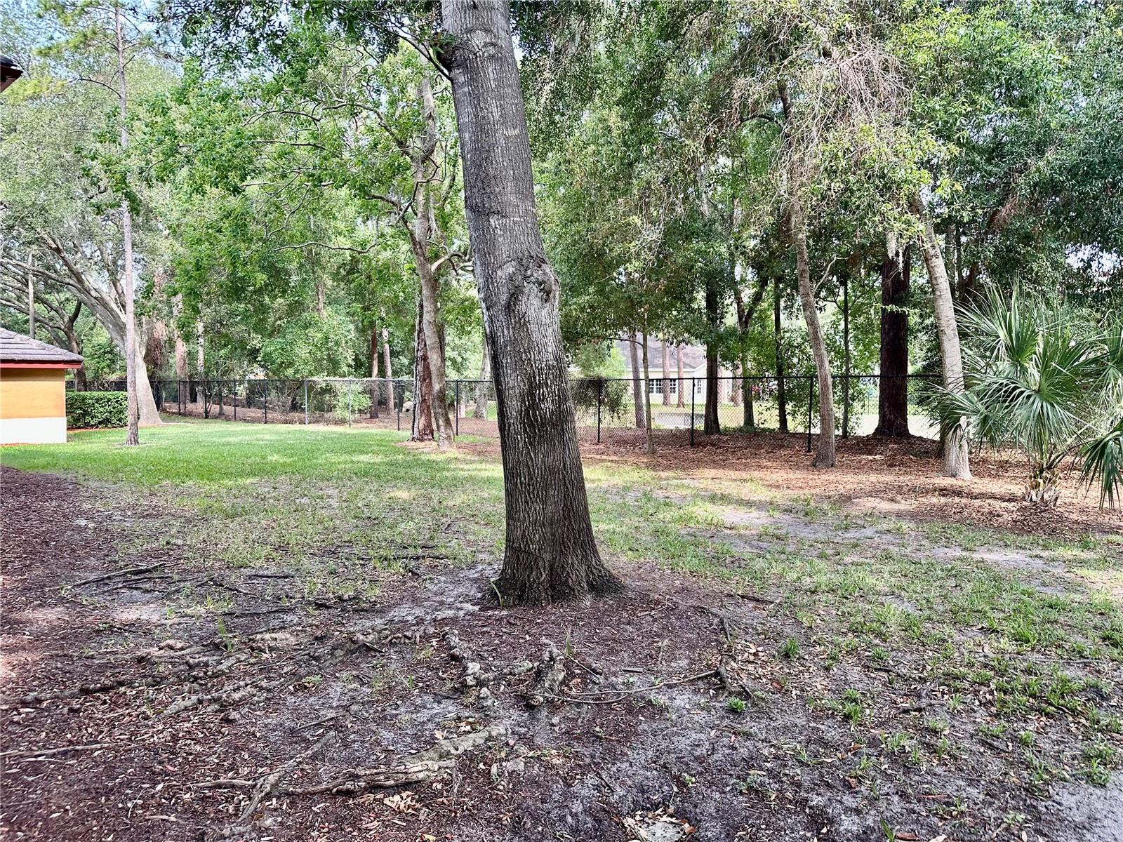 2141 PORTOFINO PL #28-282, PALM HARBOR, FL, 34683