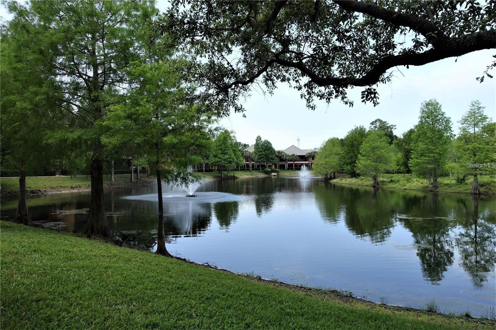 2141 PORTOFINO PL #28-282, PALM HARBOR, FL, 34683