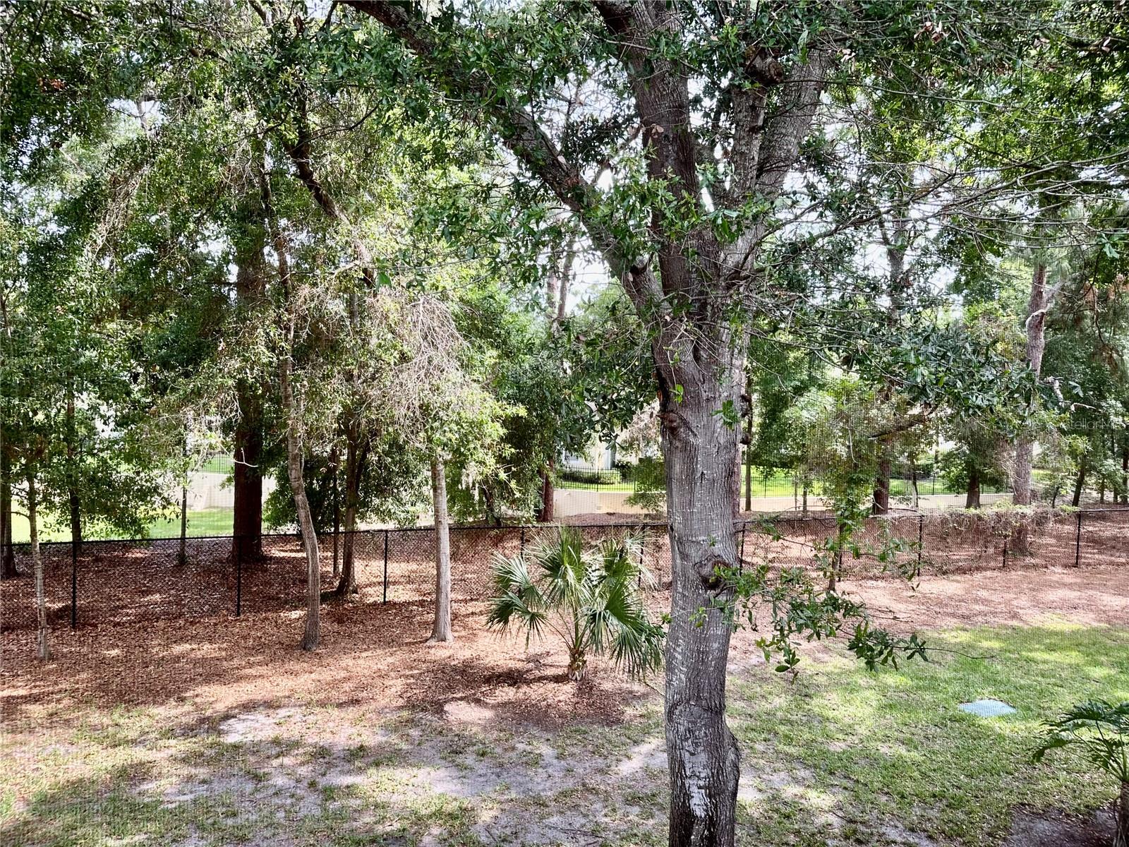 2141 PORTOFINO PL #28-282, PALM HARBOR, FL, 34683