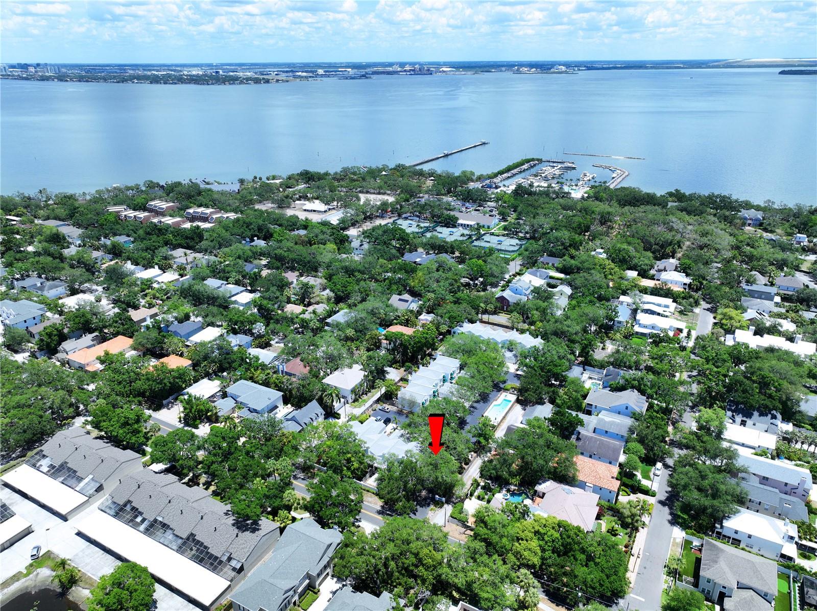 5300 BAYSHORE BLVD #A1, TAMPA, FL, 33611