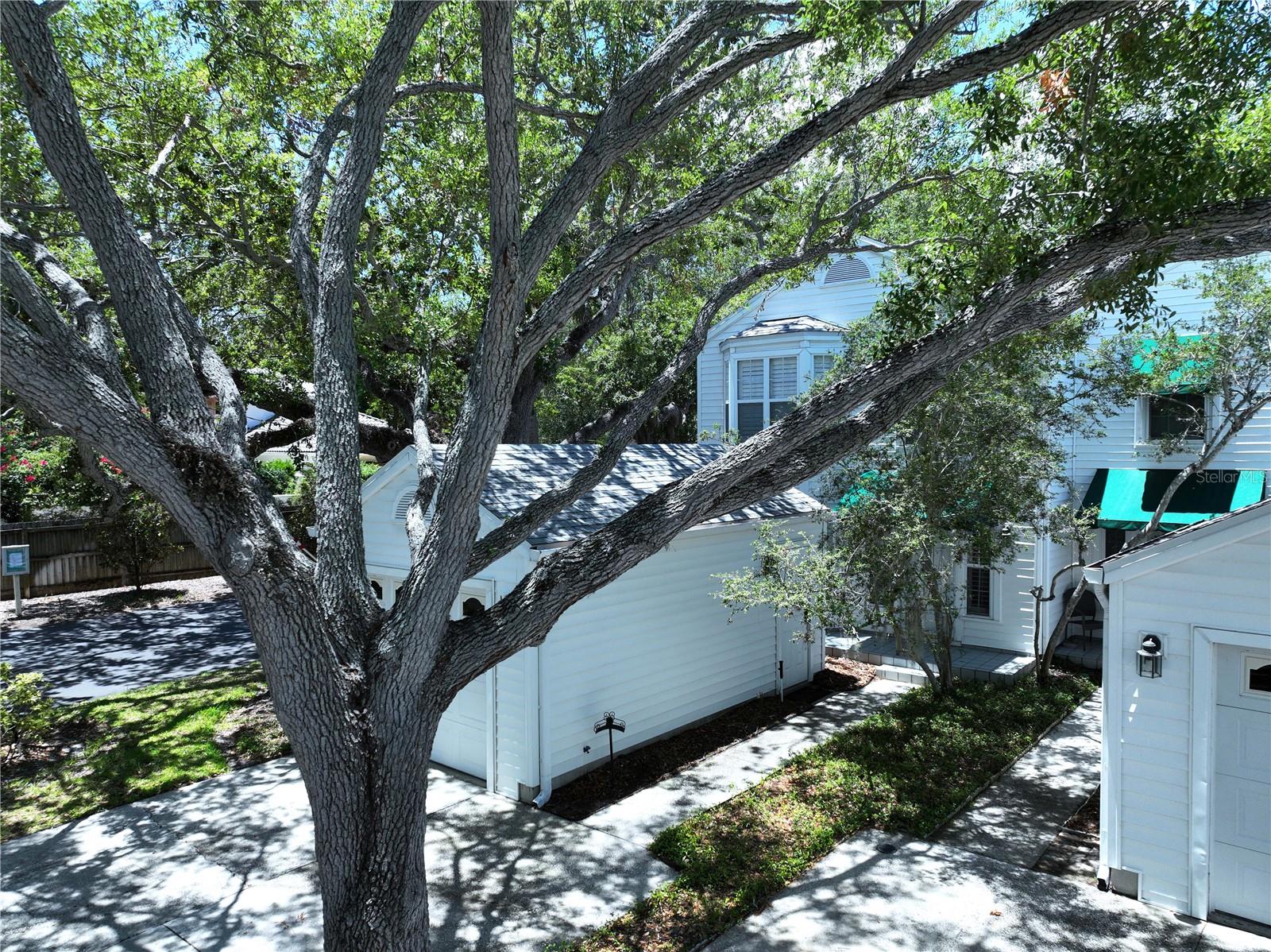 5300 BAYSHORE BLVD #A1, TAMPA, FL, 33611