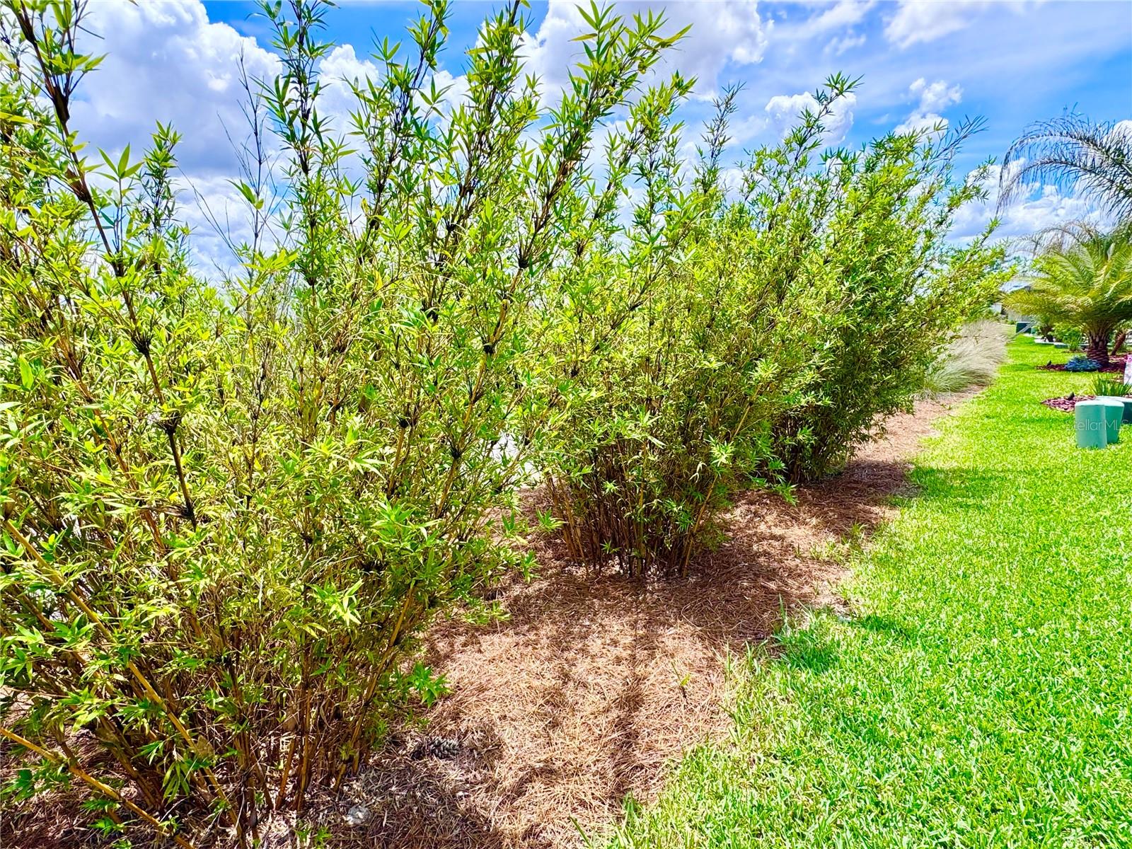 7597 CHRIS CORLEY LOOP, THE VILLAGES, FL, 34762