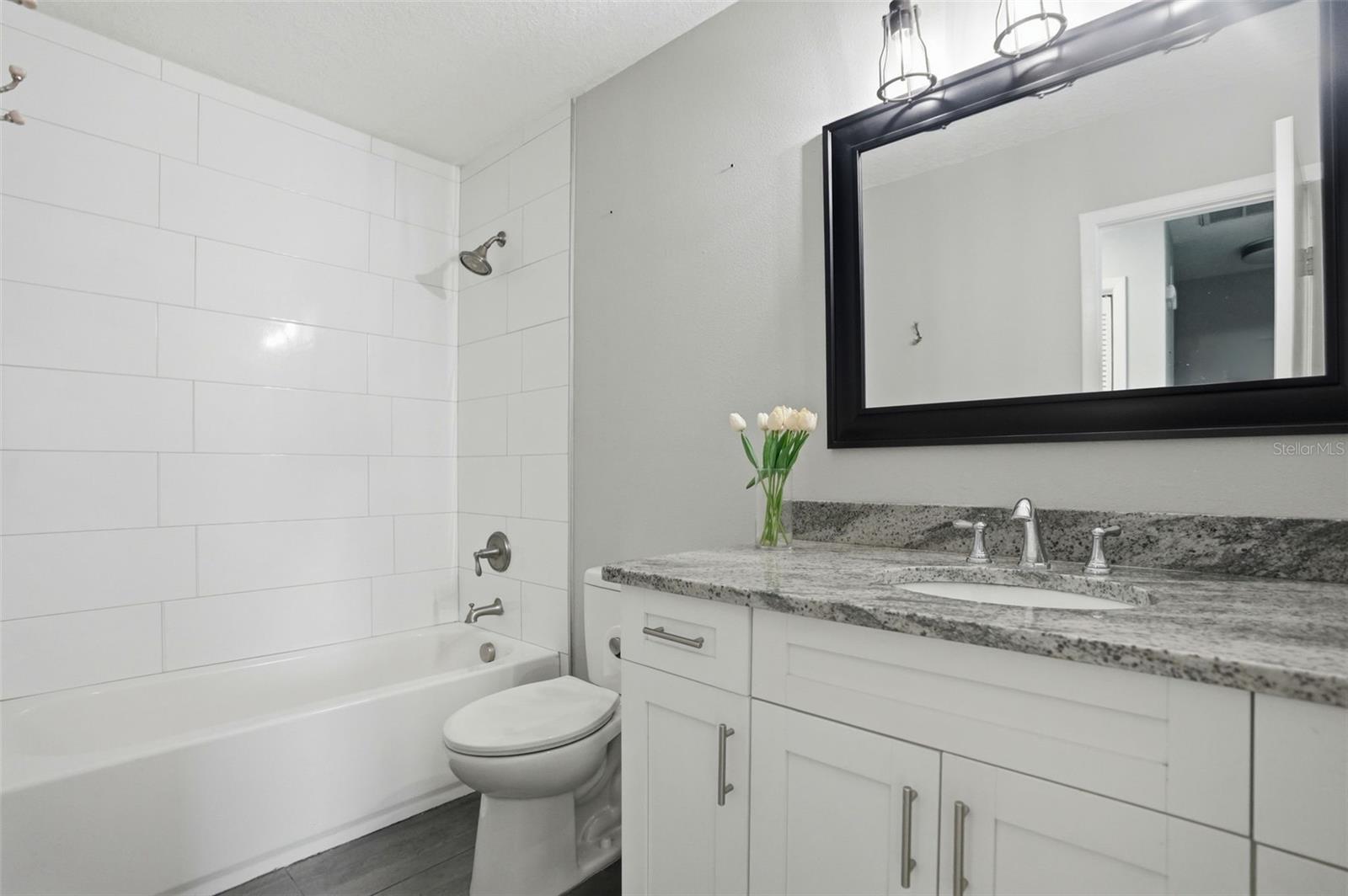727 N HIMES AVE, TAMPA, FL, 33609