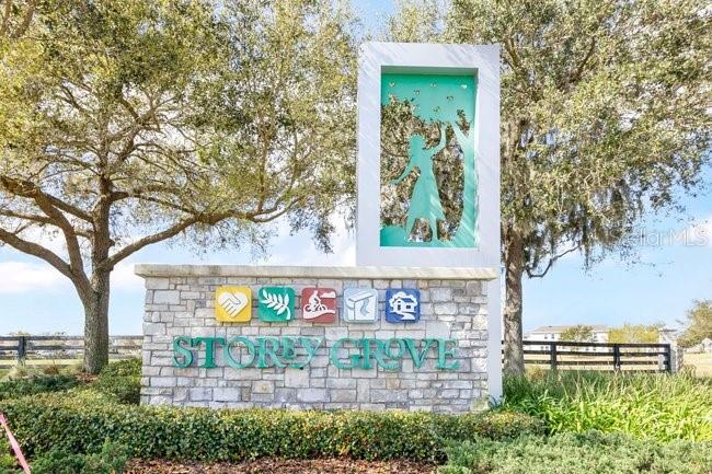 11036 ROBERT FROST DR, WINTER GARDEN, FL, 34787