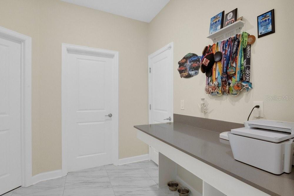 11036 ROBERT FROST DR, WINTER GARDEN, FL, 34787