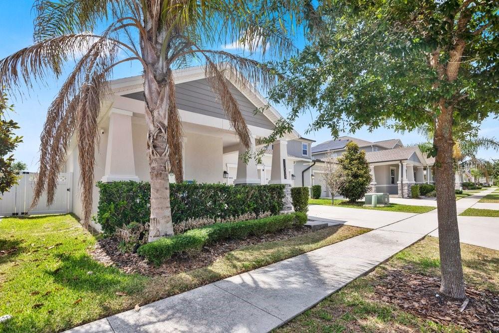 11036 ROBERT FROST DR, WINTER GARDEN, FL, 34787