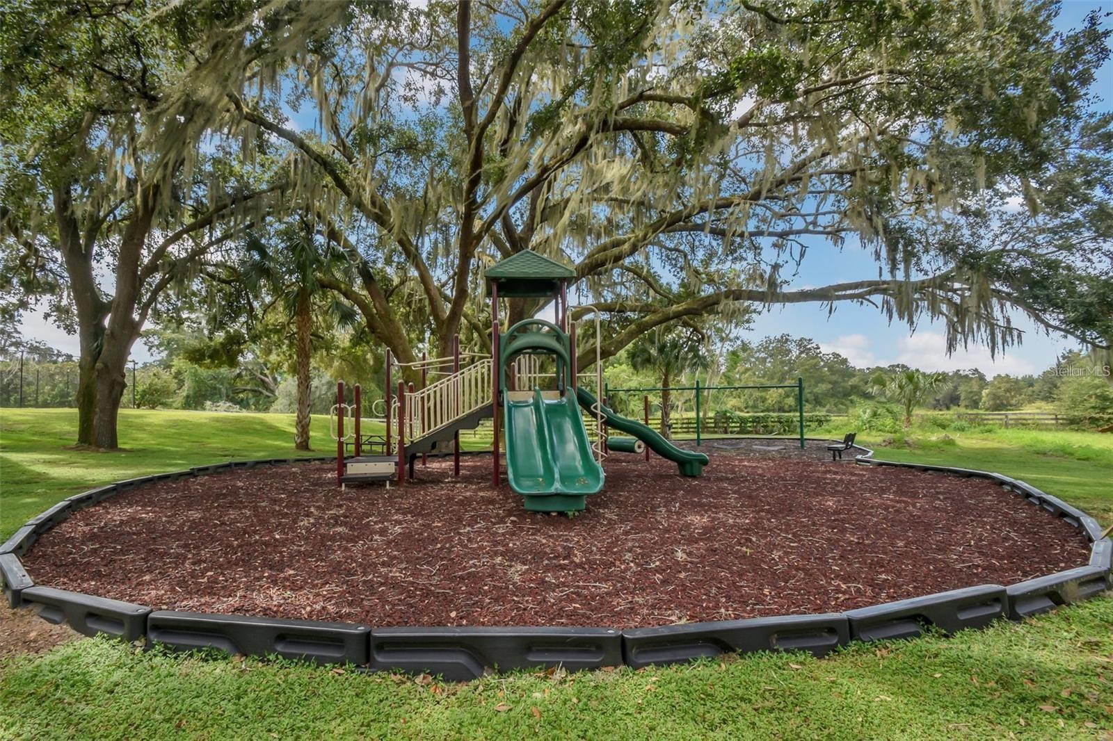 24215 WELDON DR, EUSTIS, FL, 32736