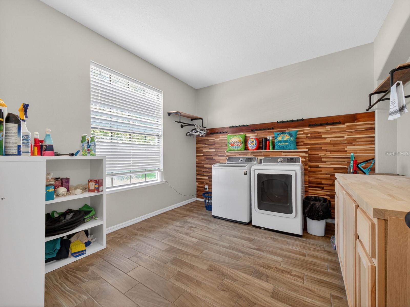 24215 WELDON DR, EUSTIS, FL, 32736