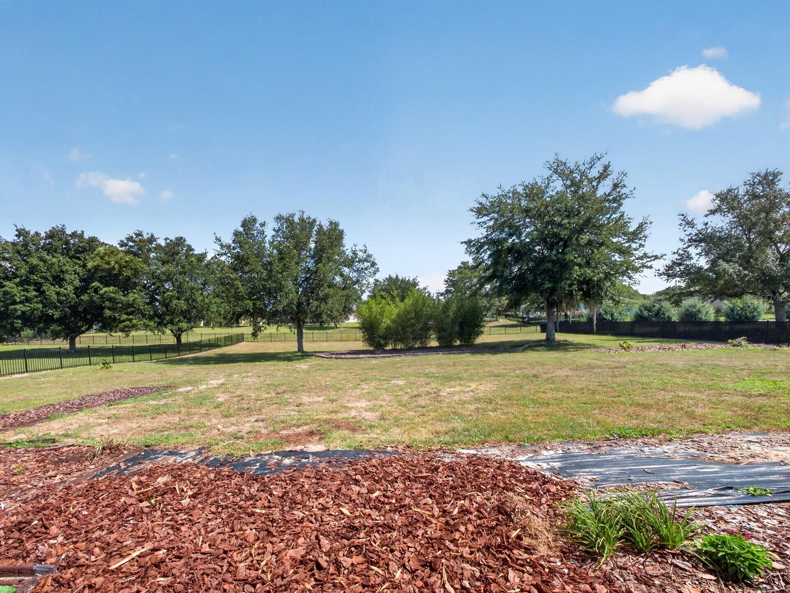 24215 WELDON DR, EUSTIS, FL, 32736