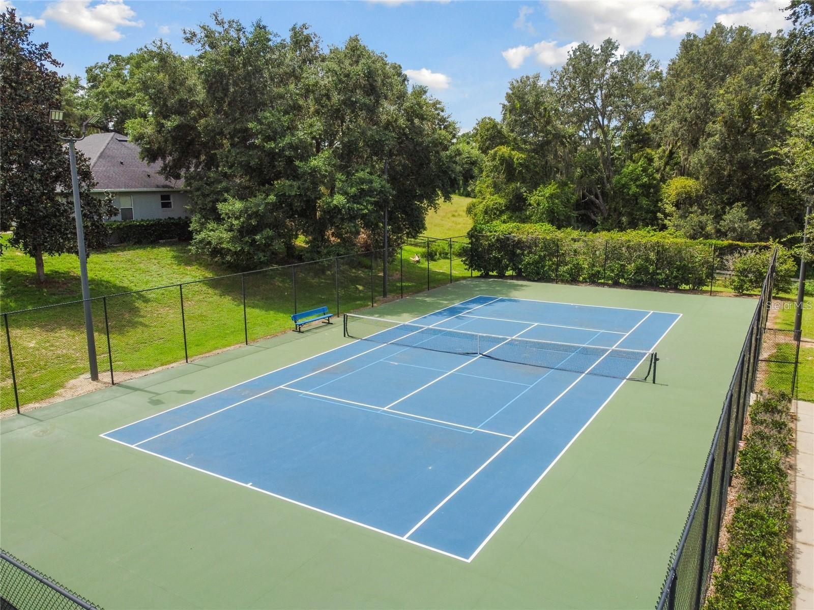 24215 WELDON DR, EUSTIS, FL, 32736