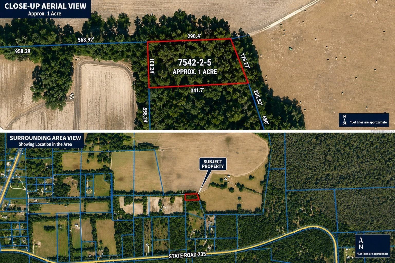 ST RD 235, BROOKER, FL, 32622
