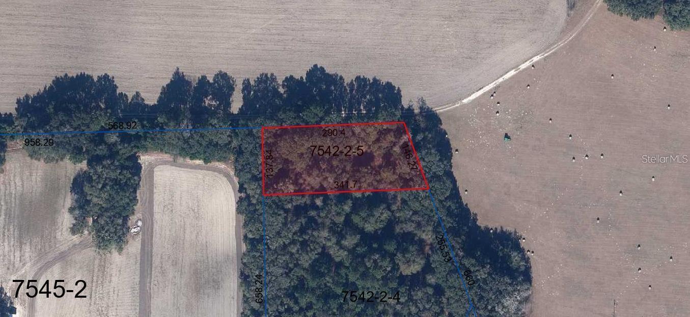 ST RD 235, BROOKER, FL, 32622