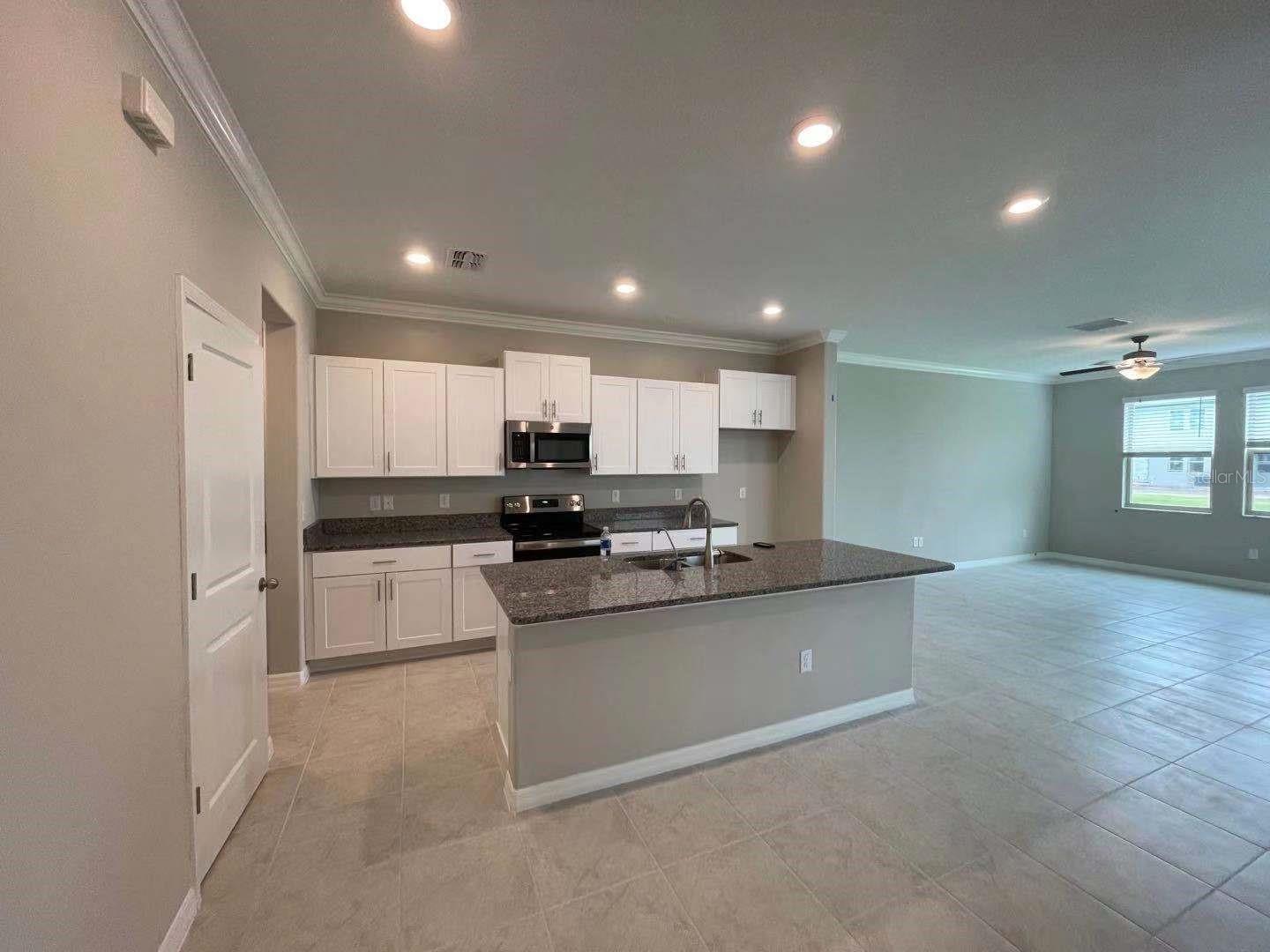 31993 BLUE PASSING, WESLEY CHAPEL, FL, 33545